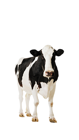 Mogan Doğa Çiftliği