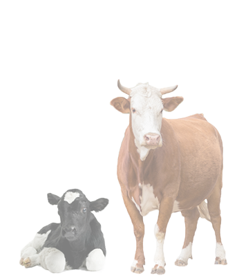 Mogan Doğa Çiftliği