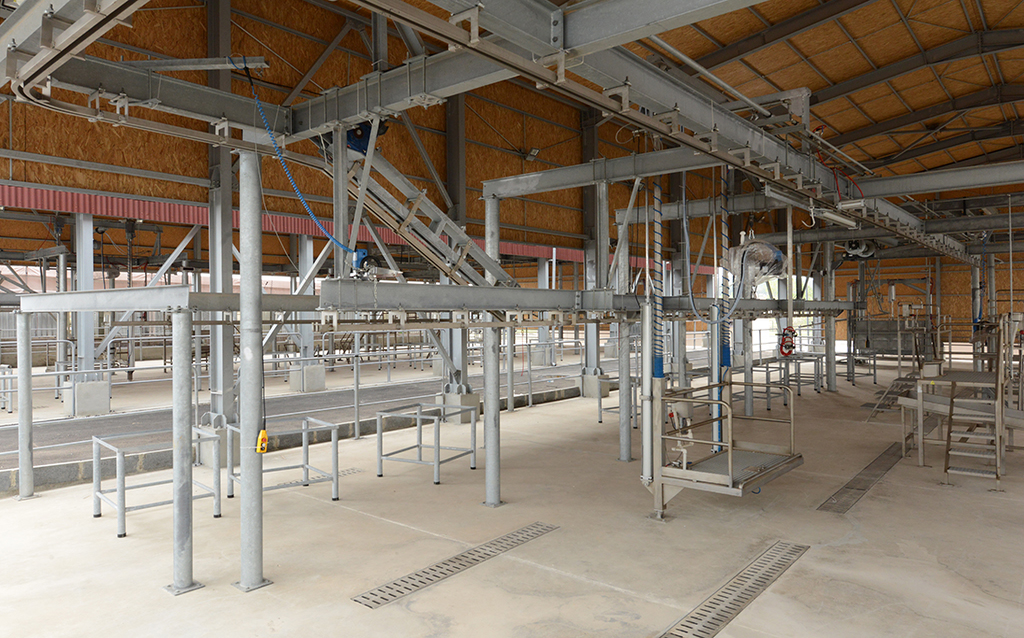 Kurbanlık Kesimi Nasıl Olmalı ?